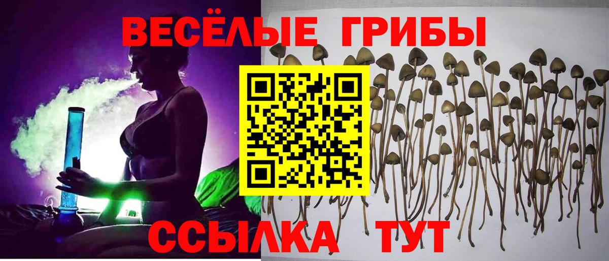 Менделеевск  Галлюциногенные грибы ЛСД  Вход с VPN 